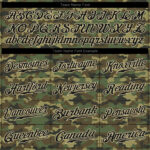 camo_0057_f65d977c-d005-4876-9a80-677cbaa867c2_1200x1200.jpg